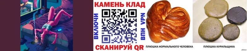 ГАШ гарик Анапа