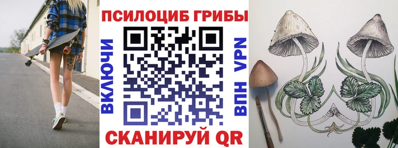 Галлюциногенные грибы GOLDEN TEACHER  закладки  Анапа 