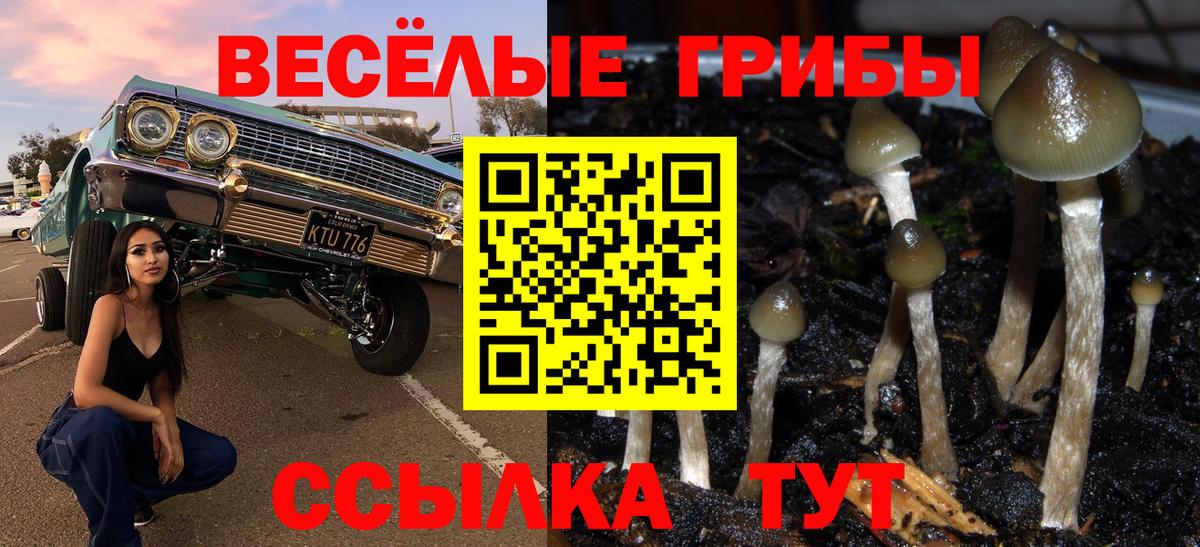 Галлюциногенные грибы GOLDEN TEACHER  как найти закладки  Вход с VPN  Анапа  Псилоцибиновые грибы GOLDEN TEACHER 