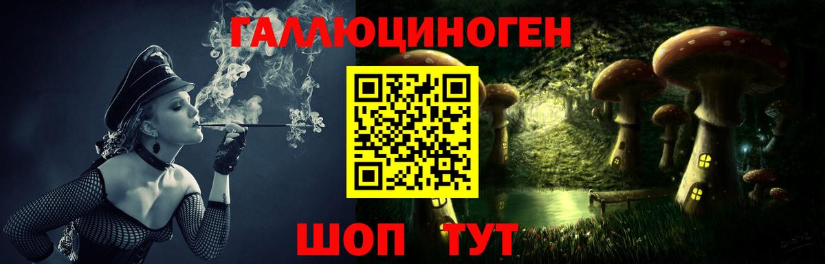 Галлюциногенные грибы Psilocybine cubensis Анапа