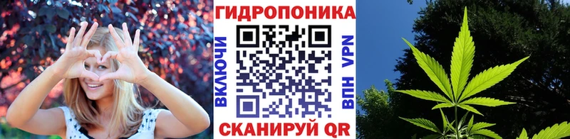МАРИХУАНА план Анапа
