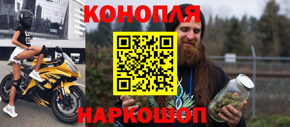 Конопля гибрид Анапа